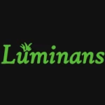 Luminans (Shenzhen) Lighting Co., Ltd.