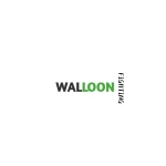 Hefei Walloon Technology Co., Ltd.