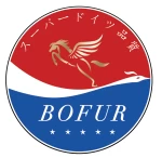Shenzhen Bofur Technology Co., Ltd.