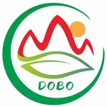 Ningbo Dongbo New Energy Co., Ltd.