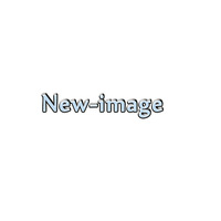 Shenzhen New Image Technology Co., Ltd.