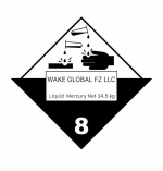 WAKE GLOBAL FZ LLC
