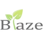 Shenzhen Blaze Lighting Technology Limited