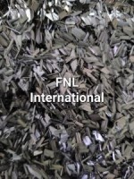 FNL International