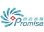 Golden Promise Technology Co., Ltd.