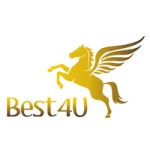 Shenzhen Best4U Technology Co., Ltd.