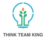 Shenzhen Think Team King Lighting Co., Ltd.