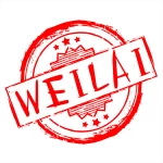 Wenzhou Weilai Technology Co., Ltd.