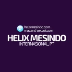 PT. Helix Mesindo Internasional