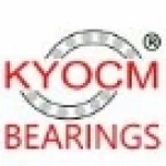 Shandong Kaiyou Bearing Co., Ltd.