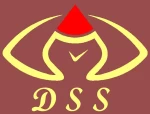 Shenzhen D.S.S  Science Technology Ltd.