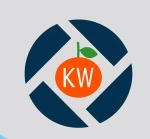 Shenzhen King Well Technology Co., Ltd