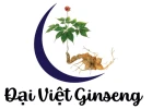 Dai Viet - Ngoc Linh Ginseng Privated Enterprise