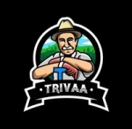 TRIVAA IMPEX PRIVATE LIMITED