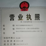 Ruian Lei Peng Wei Trading Co., Ltd.