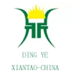 Xiantao Dingye Labor Protection Products Co., Ltd.
