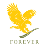 FOREVER B SERVICES LLC