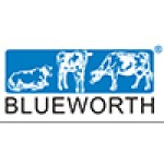 Chengdu Blueworth Plastic Products Co., Ltd.