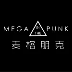 Binzhou Boxing Megapunk Intelligence Technology Co., Ltd.