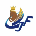 Quanzhou Junfei Crafts Co., Ltd.