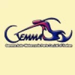 Foshan Gemma Automobile And Motorcycle Parts Co., Ltd.