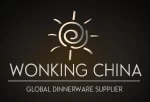 Henan Wonking China I/E Co., Ltd.