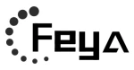 Shenzhen Feya Technology Co., Ltd.