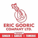 Company - ERIC GODRIC COM. LTD