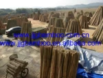 Fujian Shanghang Jiejiegao Bamboo Products Co., Ltd.