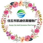 Renqiu Kaidi Simulation Plant Factory