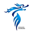 Guangzhou Dragon Diamond Technology Co., Ltd.