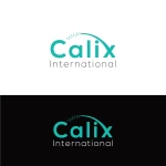 CALIX INTERNATIONAL