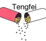 Tengfei Co.,Ltd