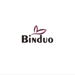 Shanxi Binduo Technology Co., Ltd.