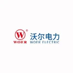 Shenzhen Woer Electric Technology Co., Ltd