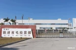 Zaoqiang Daying Yuejin Fur Business Department