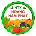 HOANG NAM PHAT CO-OPERATIVE