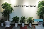 Yiwu Xiaoxiao E-Commerce Co., Ltd.