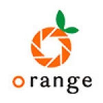 Dongguan Golden Orange Electronics Technology Limited