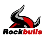 Rock Bulls Machinery Co,.ltd
