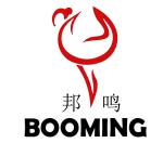 Dongguan Booming Electric Industrial Co., Ltd