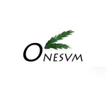 Onesvm (guangzhou) Co., Ltd.