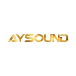 Aysound Guangzhou Electronic Technology Co., Ltd.
