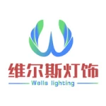 Shenzhen Wells Photoelectric Co., Ltd.