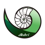 Anhui Rubri Technologies Co., Ltd.