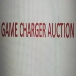 GAME CHANGER AUCTION