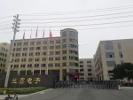 Wenzhou Lanxin Electronic Co., Ltd.