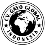 CV. GAYO GLOBAL
