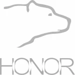 Honor Leather Apparel(Jinan) Co., Ltd.