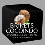 Briket Coco Indo